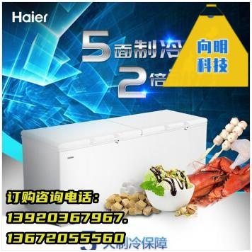 海尔(Haier)冰柜商用大容量829升 BC/BD-829HEZ冷藏箱柜